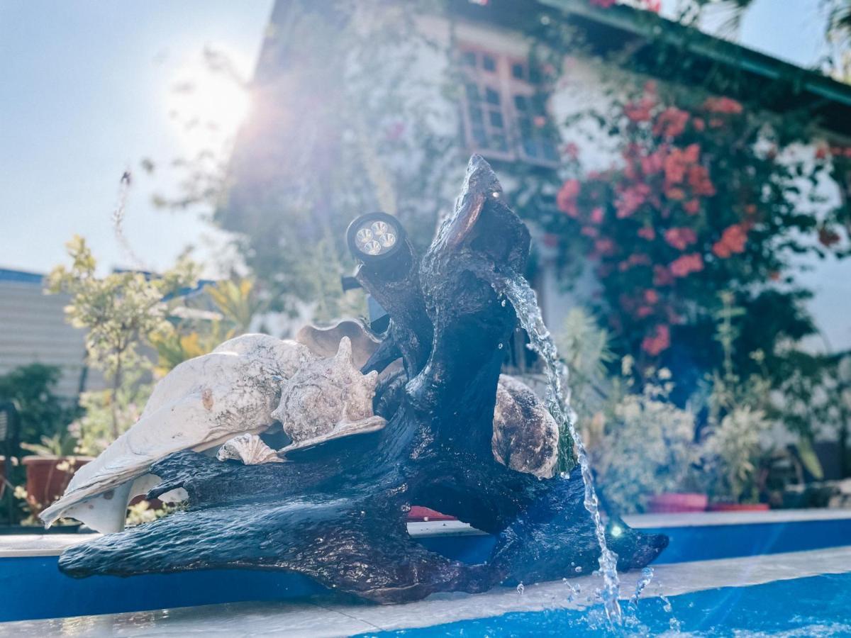 Cool Breeze Authentic Hotel Labuan Bajo Komodo Екстериор снимка